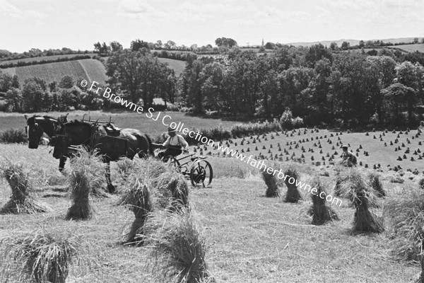 HARVEST SCENES